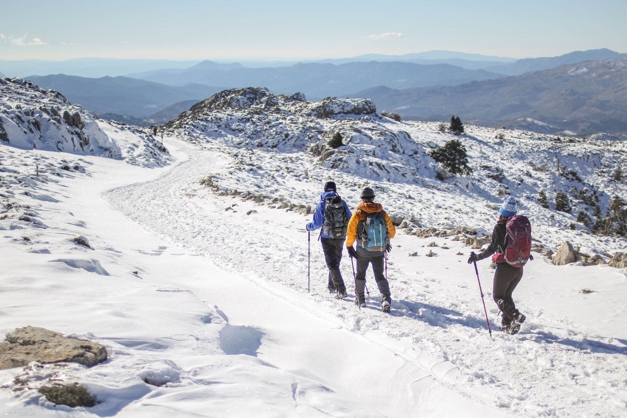 ¡Llegó la nieve más deseada!