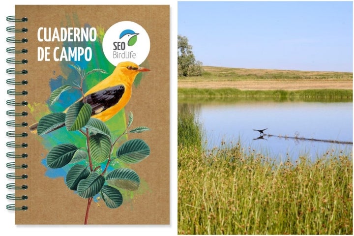 Cuaderno de campo y lagunas de Villafáfila.