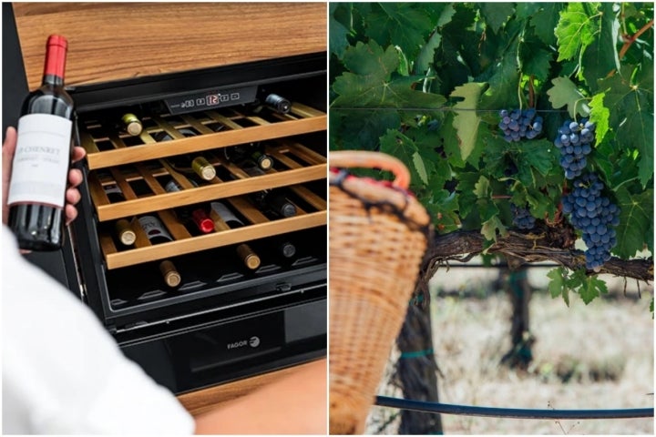 Vinoteca y viñedos de Ribera de Duero