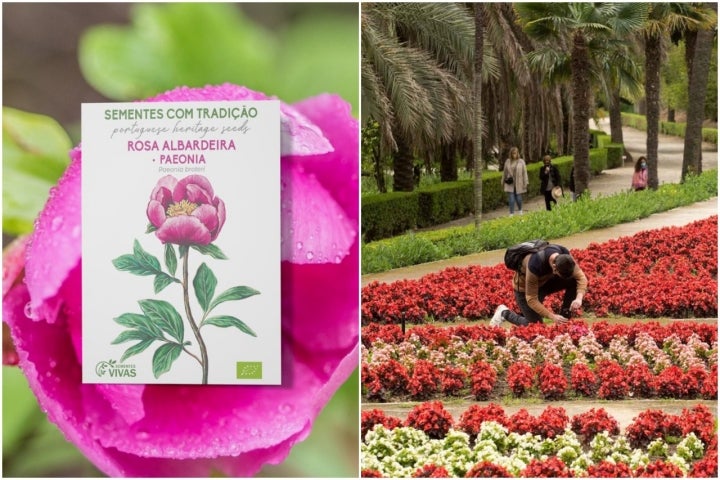 Semillas y jardín botánico de Málaga