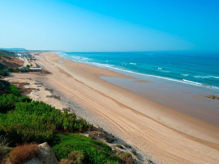 Playa de la Fontanilla, en Conil, Cádiz.