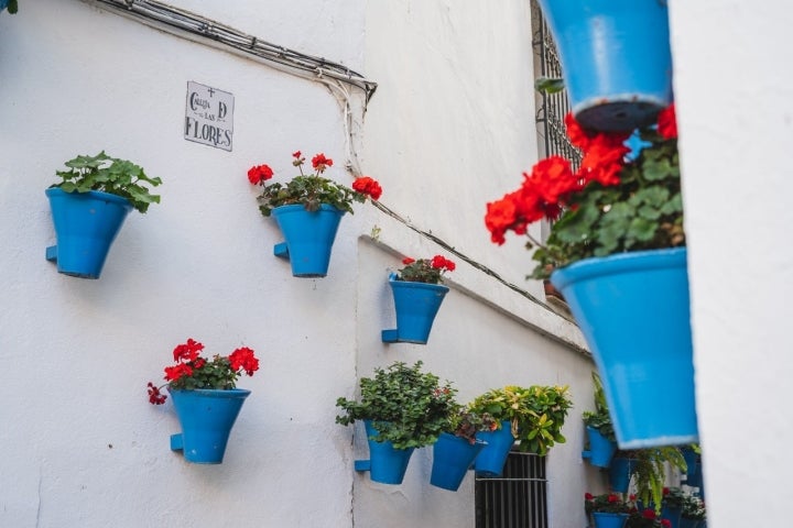 Calleja de las Flores