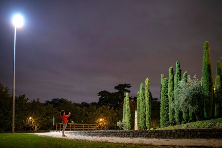 Este bosque homenajea con sus cipreses y olivos a las víctimas del 11M.