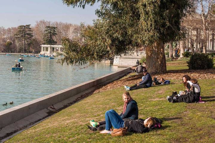 Descansando en el parque, delante del estanque, uno se olvida de los cuidados que requiere cada rincón.