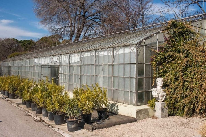 Otras estufas del Retiro, en el Vivero de Estufas –y en tiempo, de Estatuas– mantienen el encanto del cristal y el hierro.