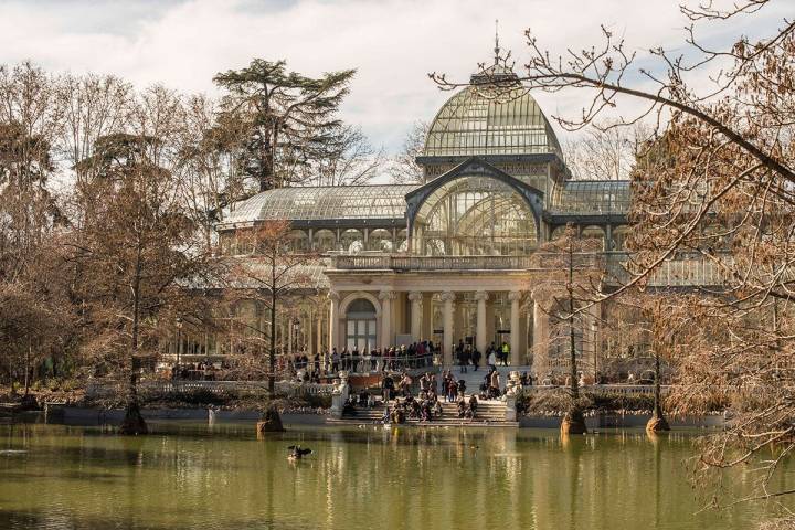 El Palacio de Cristal es el invernadero-estufa más grande del Retiro. Acogió las plantas de Filipinas en la Expo de 1887.