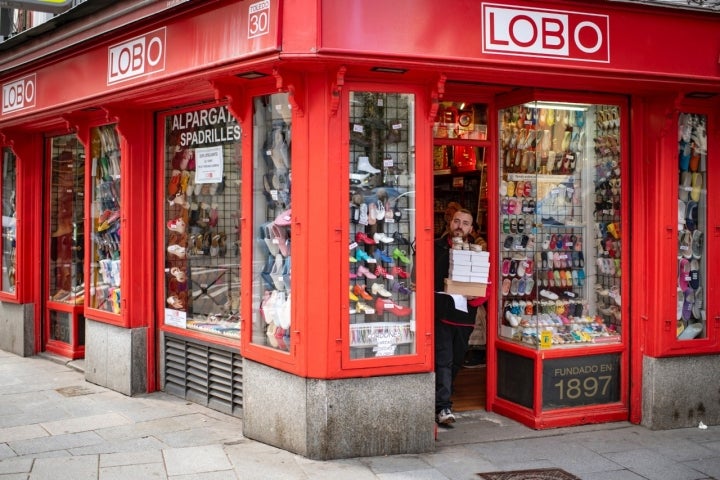 LOBO_ ALPARGATERÍA