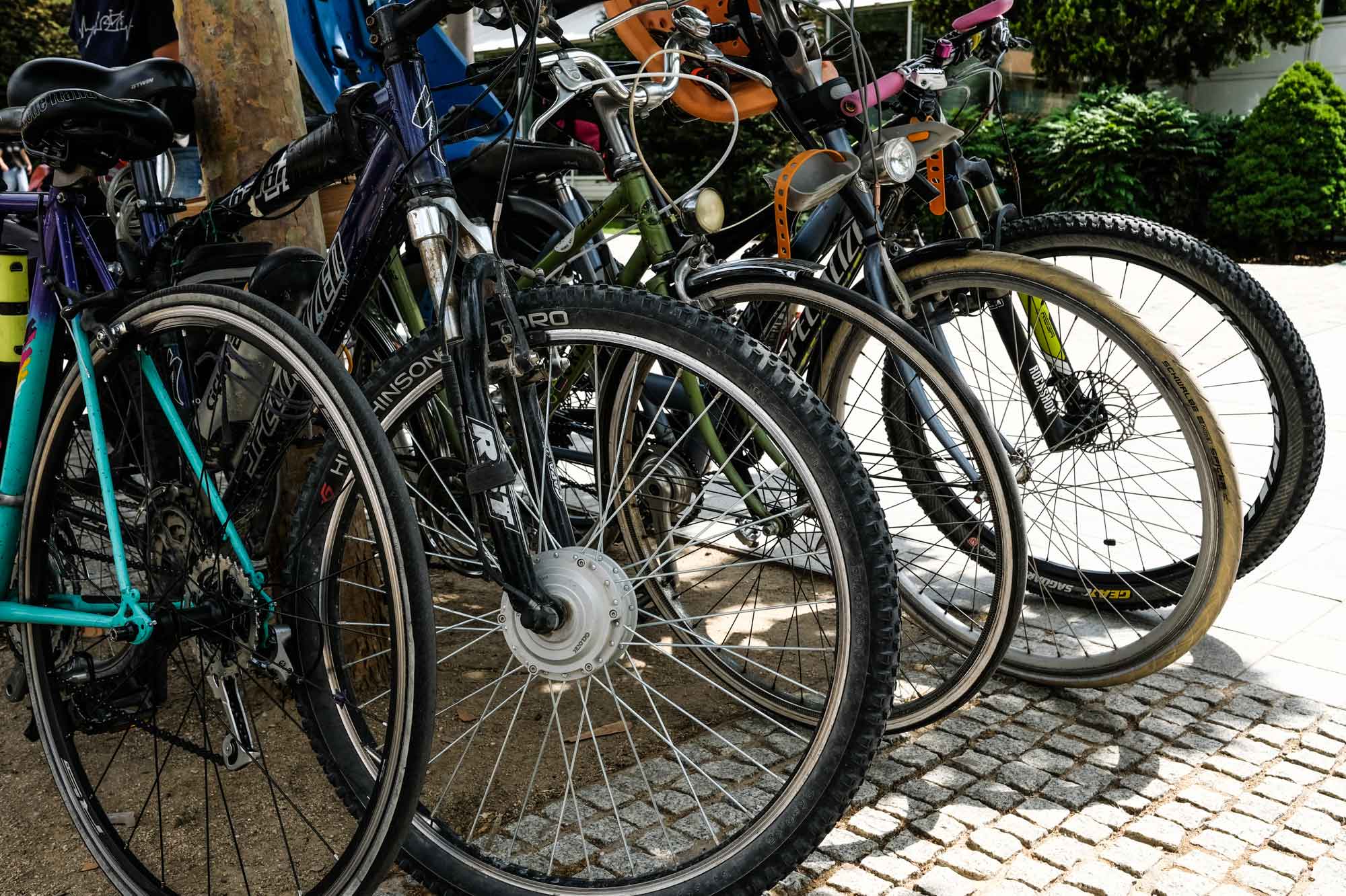 Consejos para elegir una bicicleta sin pedales - La Tercera