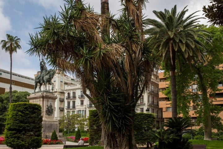 alfonso magnanimo parterre valencia