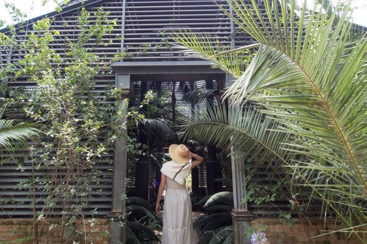 El umbráculo alberga palmeras, helechos y otras plantas tropicales.