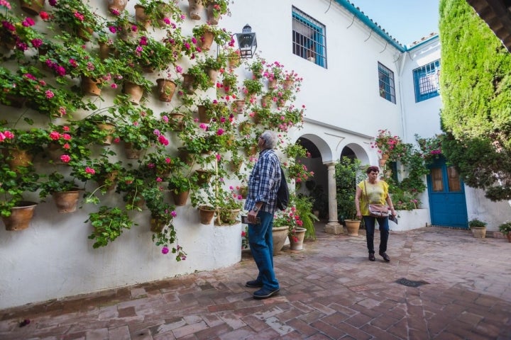 El Patio de los Gatos es el patio de vecinos más antiguo de la ciudad.