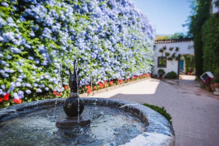 El Patio de Los Jardineros, con su fuente cantarina, cubierto totalmente de celestina.