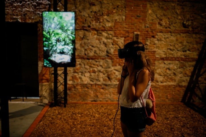 ecovisionarios matadero