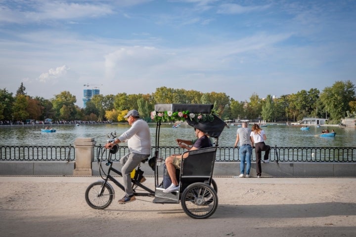 Árboles El Retiro Otoño 2022 cochecito