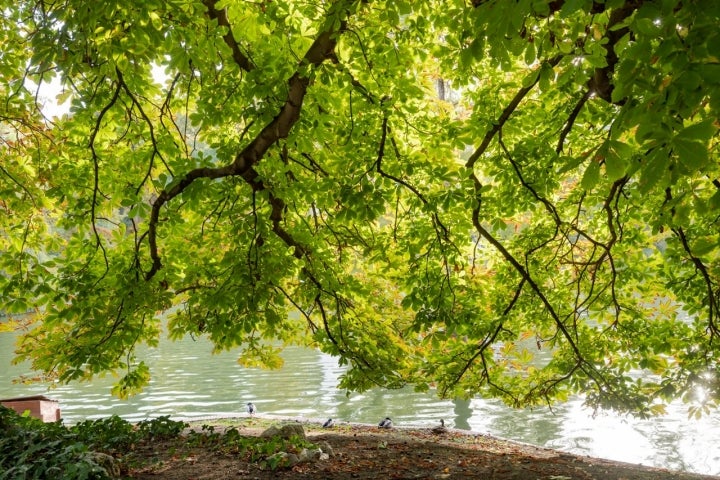 Parque El Retiro