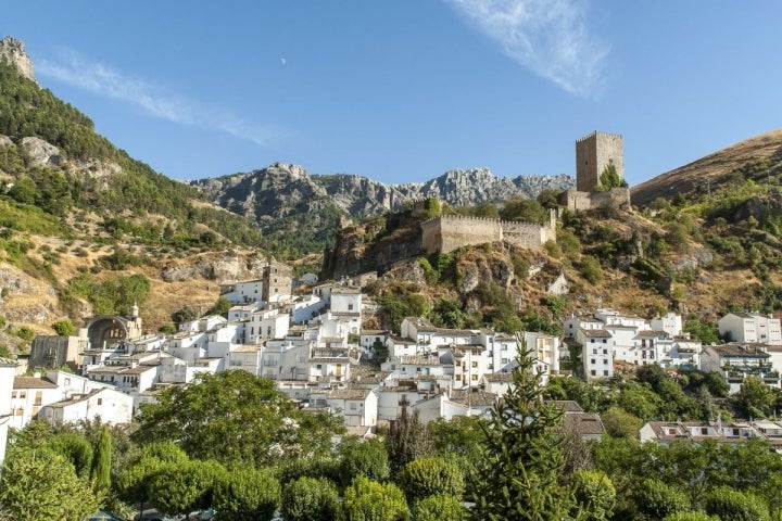 Aceite sierra de Cazorla