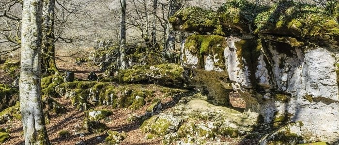 Sierra de Urbasa.