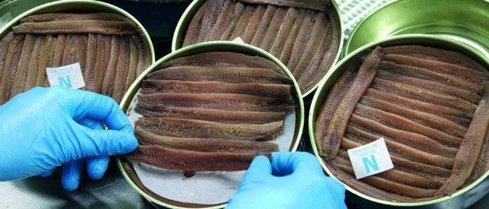 Preparación de conservas de anchoa en Santoña.