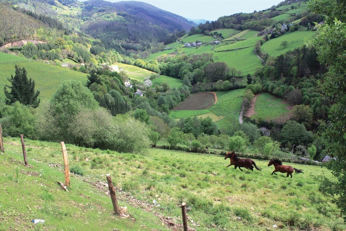 La magia del Finisterre astur