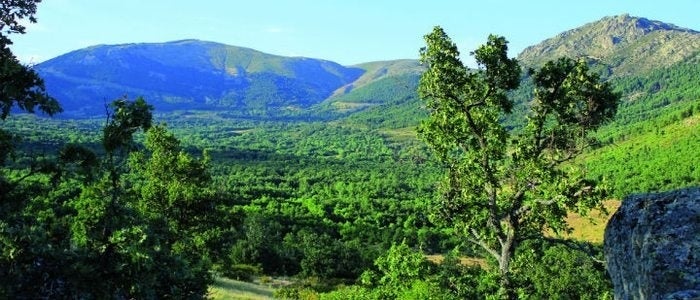 Alrededores de Miraflores de la Sierra.