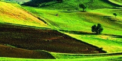 Capos de cultivo Monesterio.