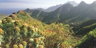 Cordillera tinerfeña.