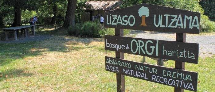 Zona recreativa del bosque de Orgi.