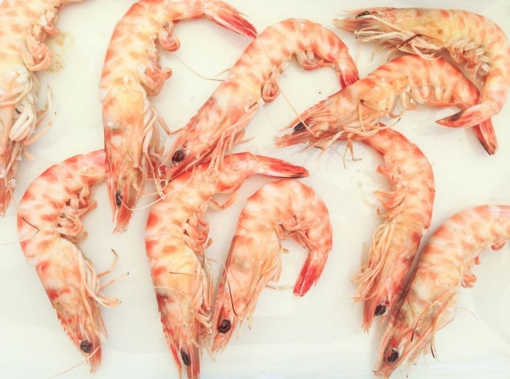 Más pequeña que los langostinos, es la reina de los mariscos en la zona. Foto: Shutterstock.