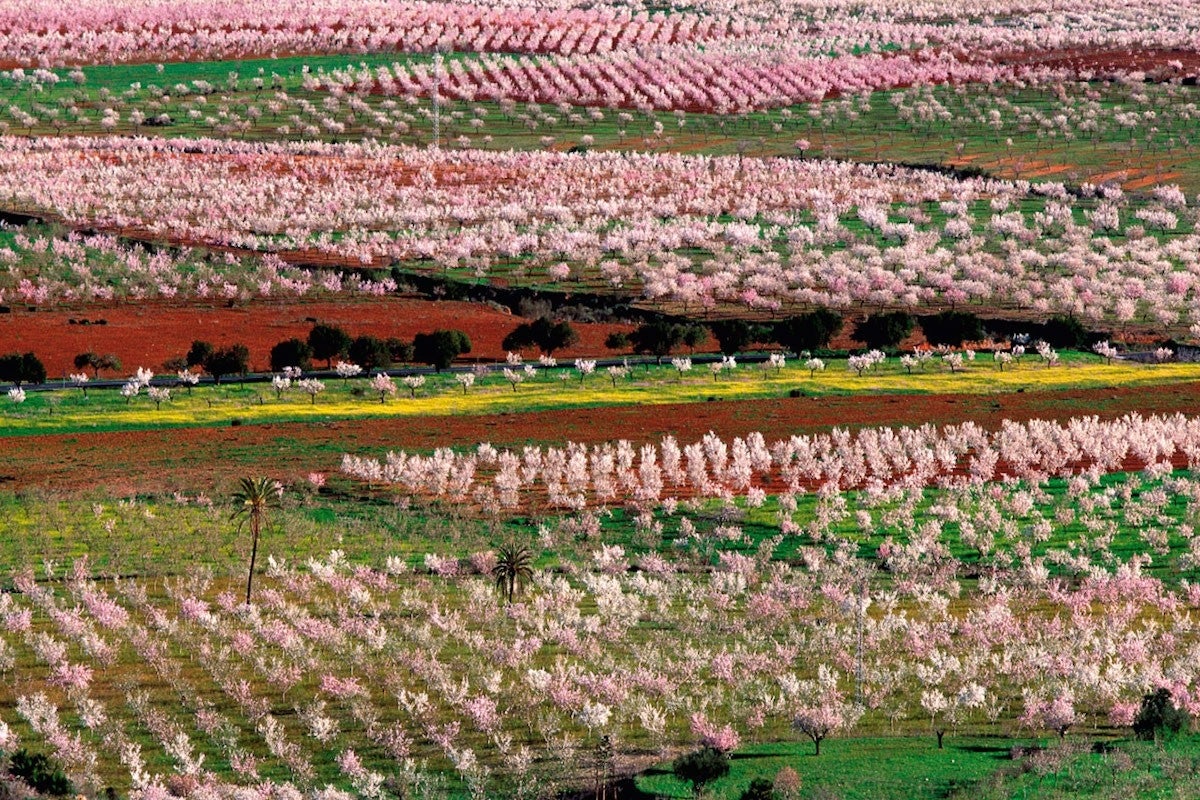 Cultura agrícola viva y ancestral