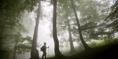 Parque Natural de la Sierra de Aizkorri.