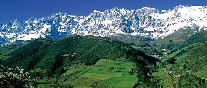 Campos verdes de Cantabria frente a los Picos de Europa nevados.