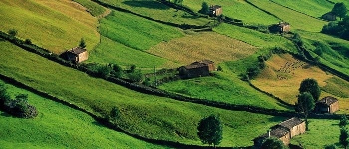 Paisaje del valle del Pas.