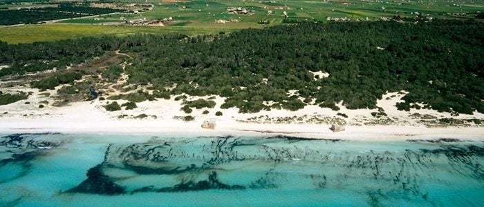 Playa de Es Trenc.