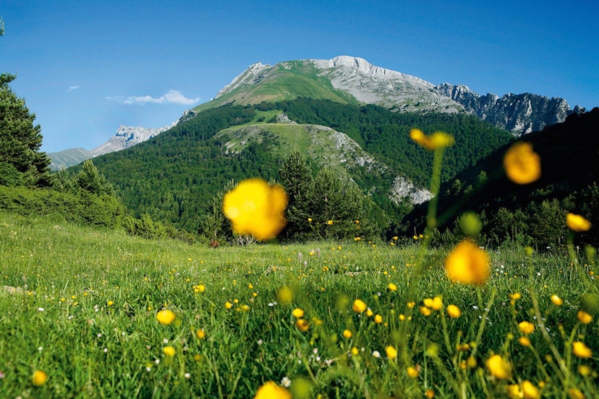 El abecé para disfrutar los Pirineos