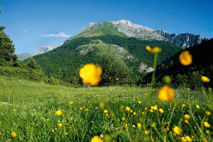 Panorámica primaveral del Pirineo aragonés.
