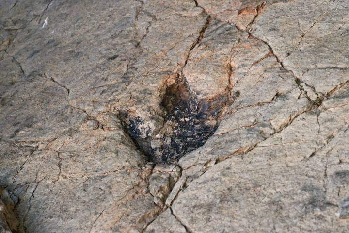 Una huella de dinosaurio fosilizada sobre una roca en Enciso. Foto: Shutterstock.