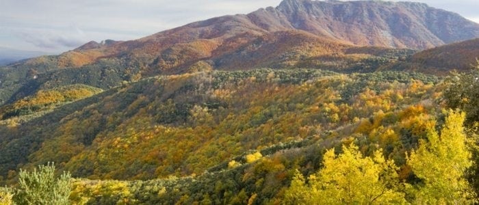 Parque Natural de Montseny.