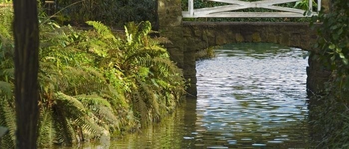 Jardín Botánico Atlántico, Gijón.