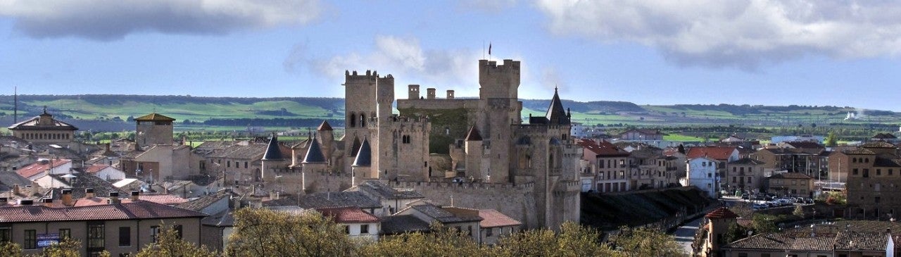 Panorámica Palacio Real de Olite