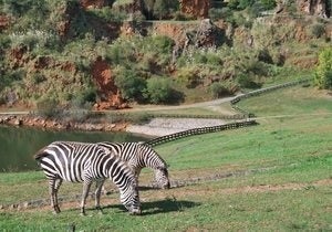 El telecabina del Parque de Cabárceno tendrá un recorrido de 6km.