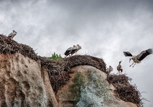 Monumento Natural los Barruecos / Cedida por: Ayuntamiento de Malpartida de Cáceres. Autor: Gabino Cisneros.