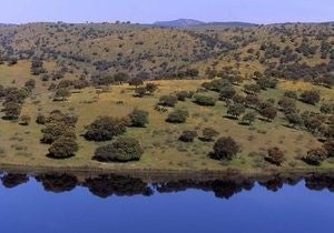 Valle de Alcudia.