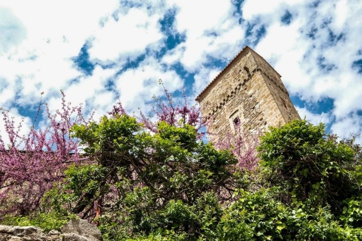 Palacio Luis Chaves 'El Viejo' en la zona amurallada de Trujillo.