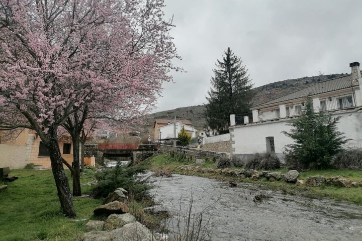 Puente Canencia