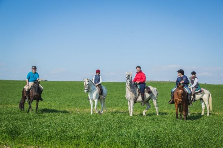 Caballos La Carlota