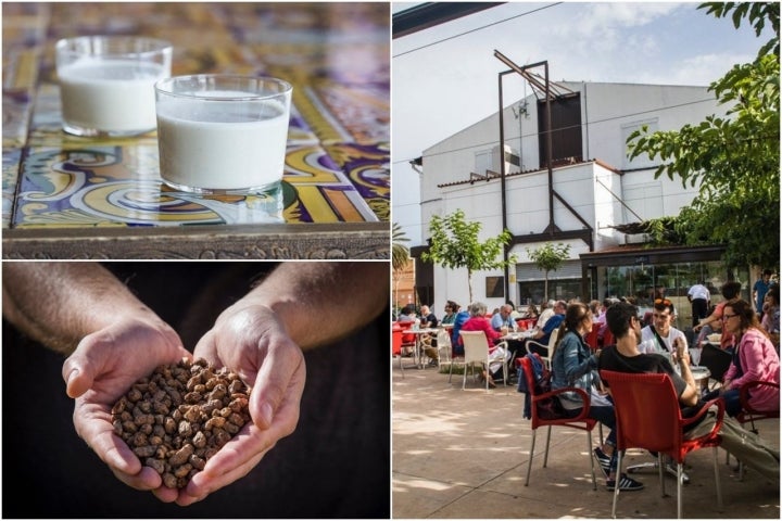 Horchata Alboraya