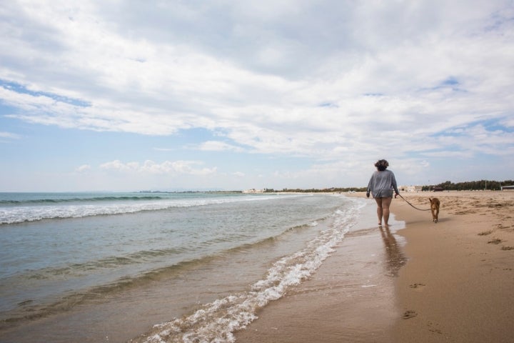 Playa el Saler