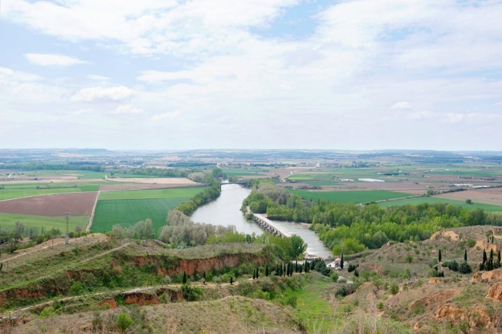 El Duero hace un requiebro a la altura de la villa de la uva zamorana.