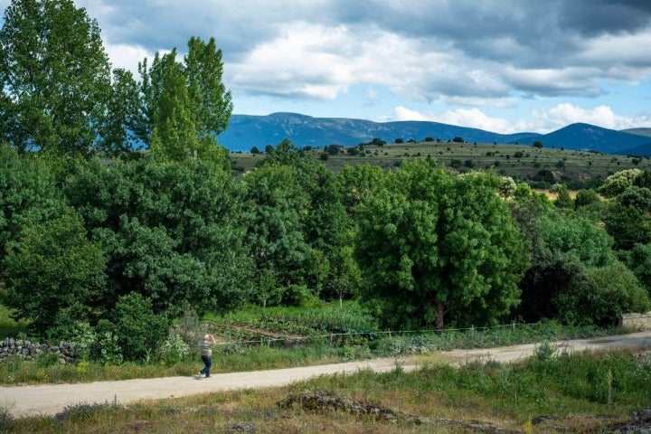 camino huerto segovia