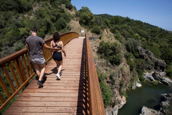 puente madera guadalmina